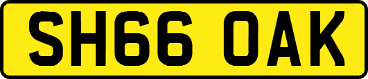 SH66OAK
