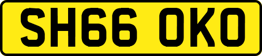 SH66OKO