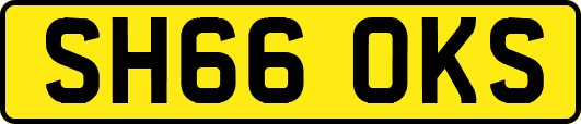 SH66OKS