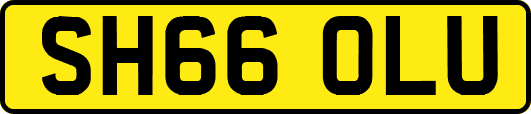 SH66OLU