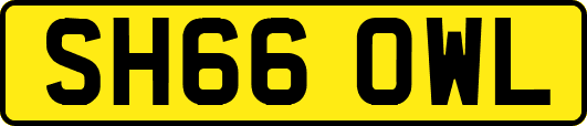SH66OWL