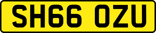 SH66OZU