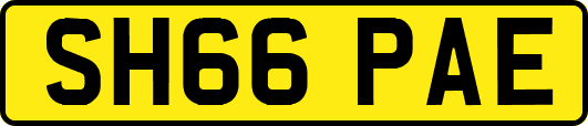 SH66PAE