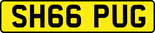 SH66PUG