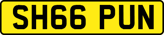 SH66PUN