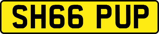 SH66PUP