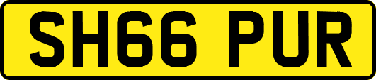 SH66PUR