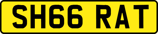SH66RAT