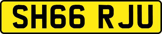 SH66RJU