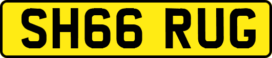 SH66RUG