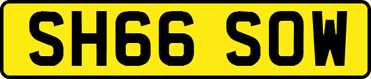 SH66SOW
