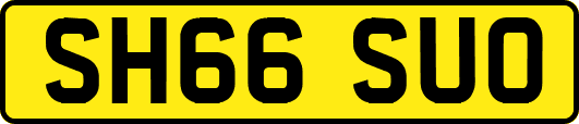 SH66SUO