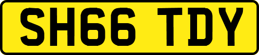 SH66TDY