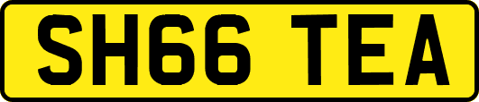SH66TEA
