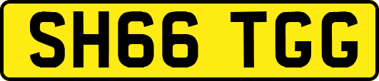 SH66TGG
