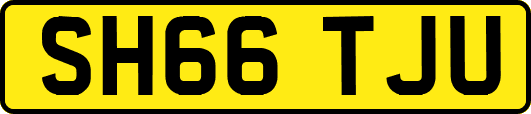 SH66TJU