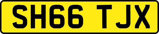 SH66TJX