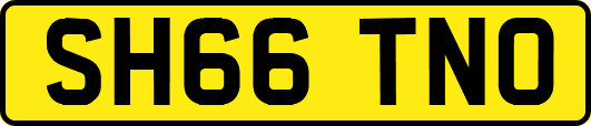 SH66TNO