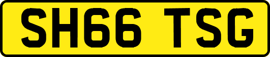 SH66TSG