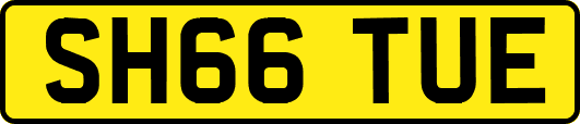 SH66TUE