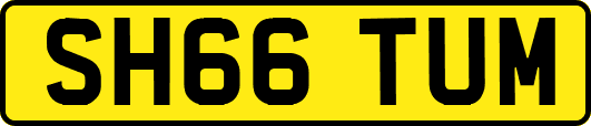 SH66TUM