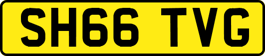 SH66TVG