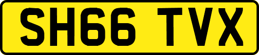 SH66TVX