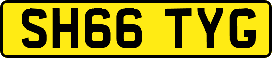 SH66TYG