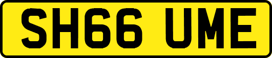 SH66UME