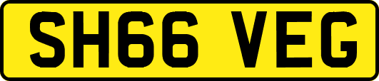SH66VEG
