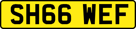 SH66WEF