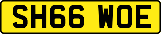 SH66WOE