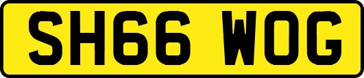 SH66WOG