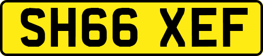 SH66XEF