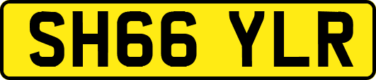 SH66YLR