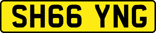 SH66YNG