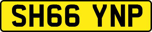 SH66YNP