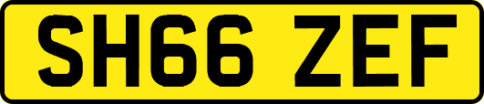 SH66ZEF