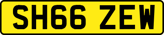 SH66ZEW