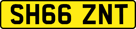 SH66ZNT