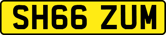 SH66ZUM