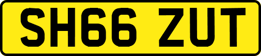 SH66ZUT