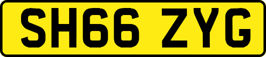 SH66ZYG