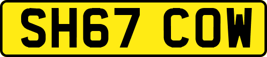 SH67COW