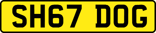 SH67DOG