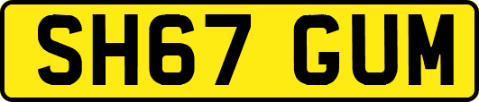 SH67GUM