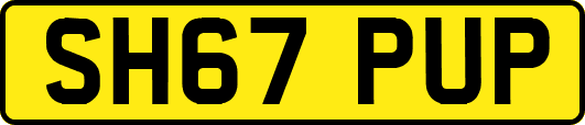 SH67PUP