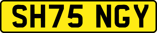 SH75NGY