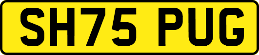 SH75PUG
