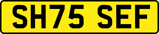 SH75SEF